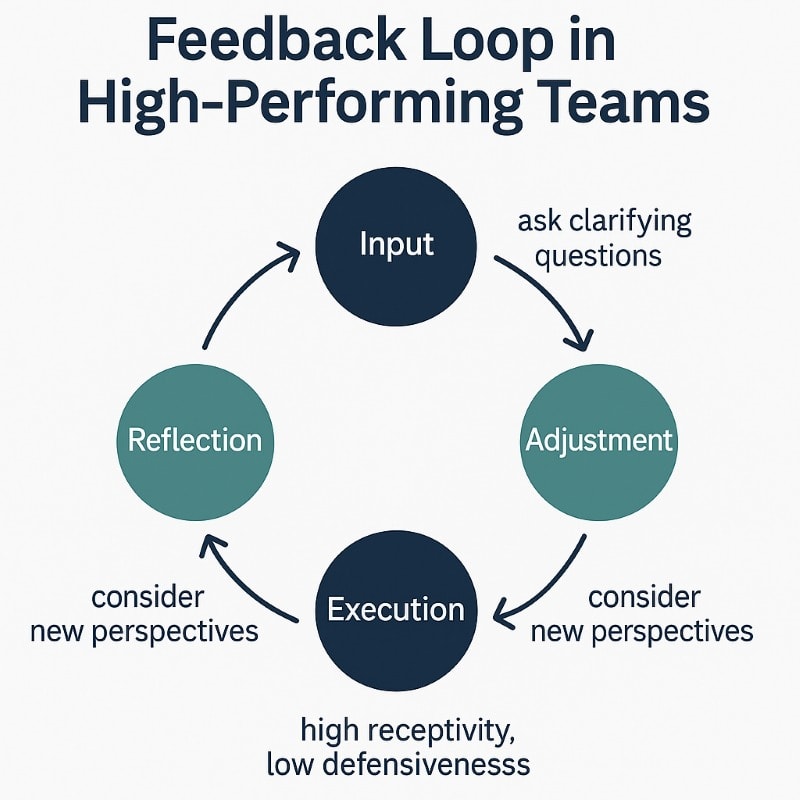 Infographic titled 'Feedback Loop in High-Performing Teams' featuring a circular diagram with four phases: Input, Adjustment, Execution, and Reflection. Arrows connect the phases in a loop. Behavior cues are placed near each phase, such as 'ask clarifying questions,' 'consider new perspectives,' and 'high receptivity, low defensiveness.' The design uses navy and teal tones with a clean, professional layout.