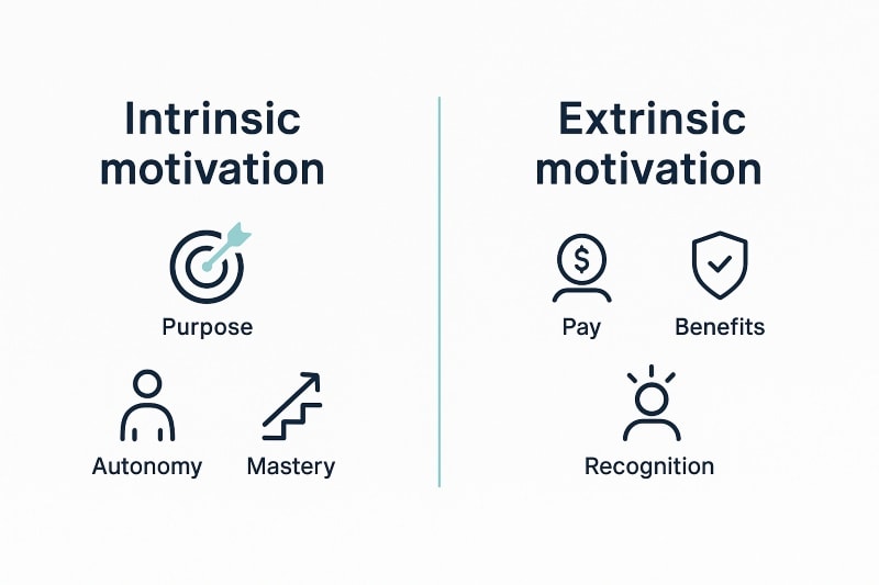 Comparison of intrinsic and extrinsic motivation factors in the workplace.