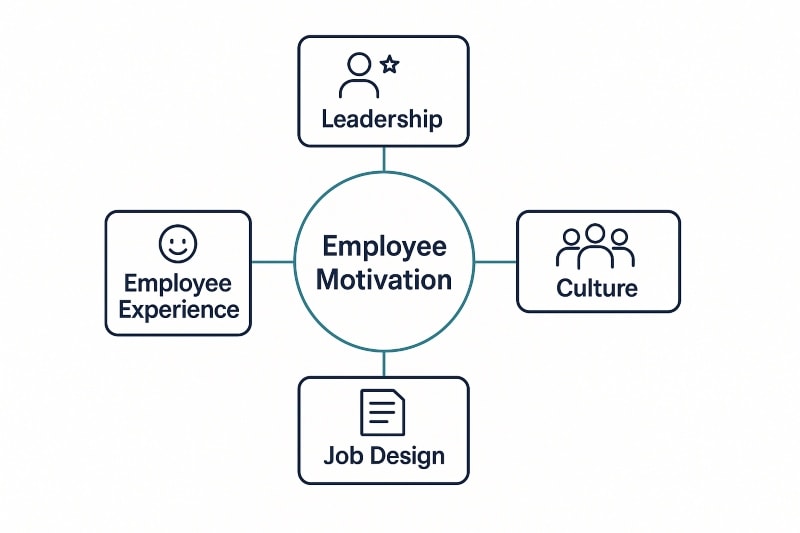 Graphic illustrating how leadership, culture, job design, and experience influence employee motivation.