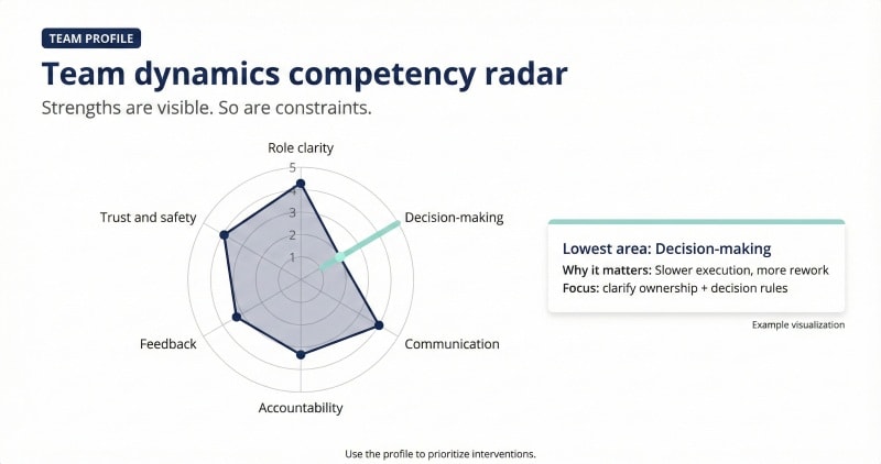 Radar chart showing team dynamics competency profile
