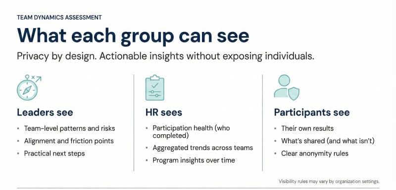 Anonymity and privacy rules for team dynamics assessment