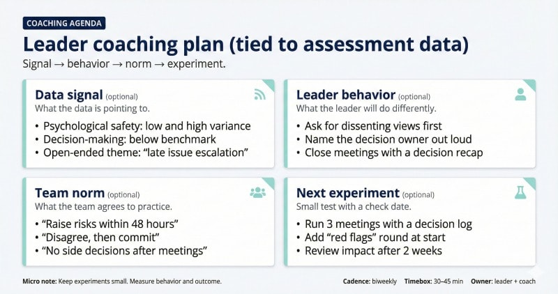 Leader coaching plan tied to team dynamics assessment data