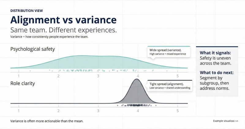 Team dynamics score distribution showing alignment and variance