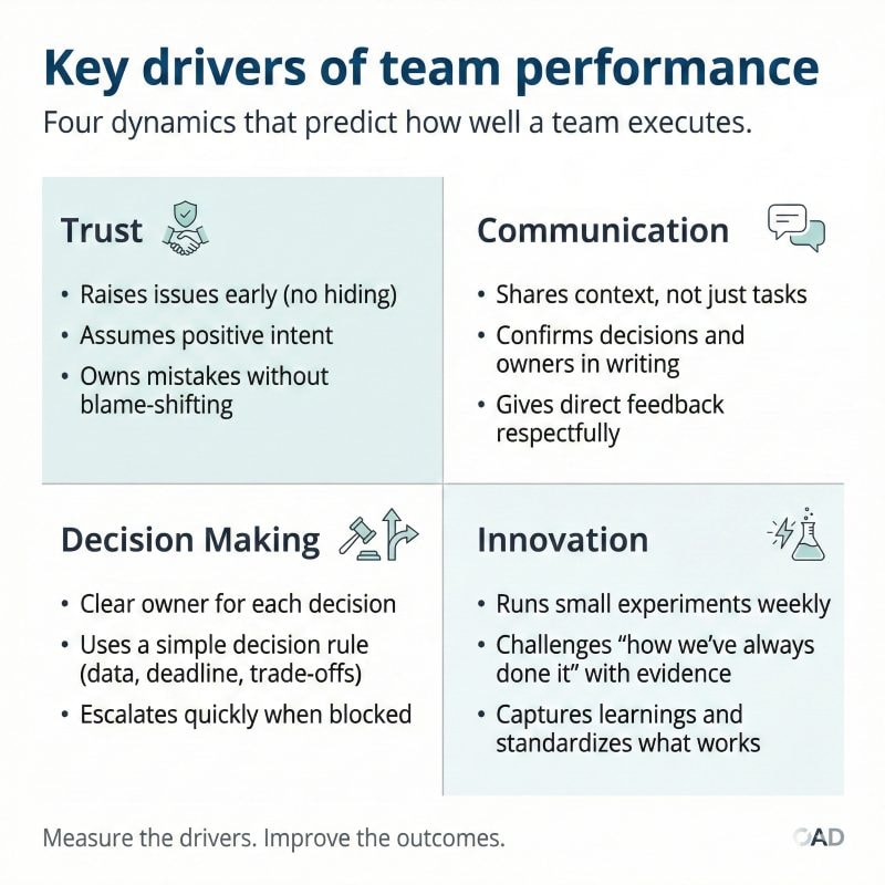 Key drivers of team performance: trust communication decision making innovation