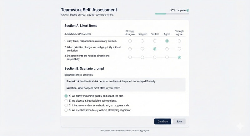 Sample teamwork self assessment questionnaire items for team effectiveness