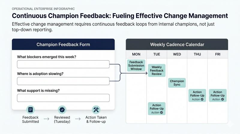 Tracking champion feedback to improve change efforts